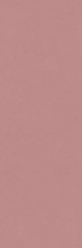 Intonaco Matte Coral Decor 10x30 by Kale - view 5
