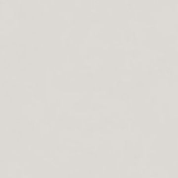 Intonaco Matte Light Grey Porcelain Tile 120x120 by Kale - view 7