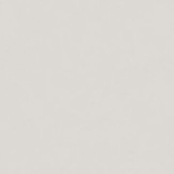 Intonaco Matte Light Grey Porcelain Tile 120x120 by Kale - view 8