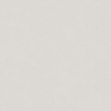Intonaco Matte Light Grey Porcelain Tile 120x120 by Kale - view 6