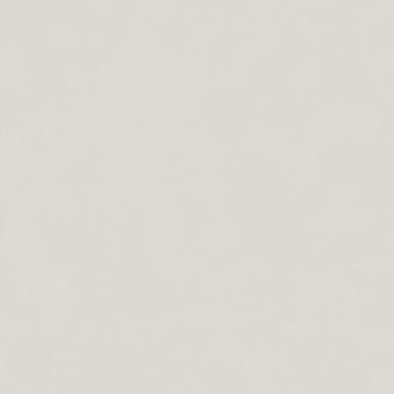 Intonaco Matte Light Grey Porcelain Tile 120x120 by Kale - view 4