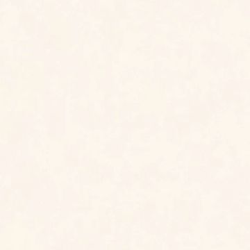 Intonaco Matte White Porcelain Tile 120x120 by Kale - view 5