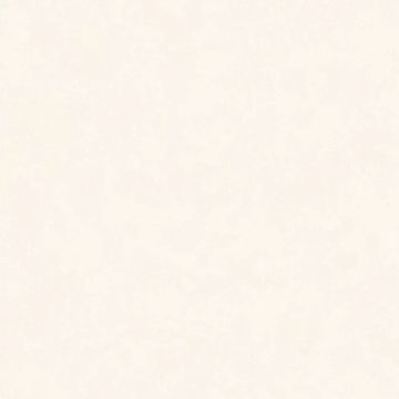 Intonaco Matte White Porcelain Tile 120x120 by Kale - view 6