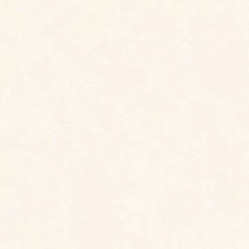 Intonaco Matte White Porcelain Tile 120x120 by Kale - view 7