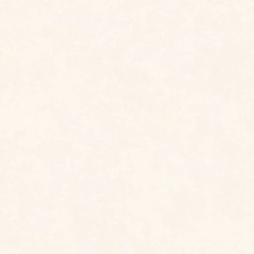 Intonaco Matte White Porcelain Tile 120x120 by Kale - view 8