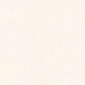 Intonaco Matte White Porcelain Tile 120x120 by Kale - view 3
