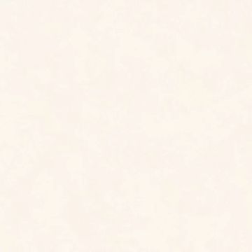 Intonaco Matte White Porcelain Tile 120x120 by Kale - view 2