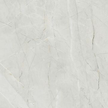 Luna Matte Bone Porcelain Tile 59X59 by Kale - view 6