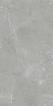 Pulpis M. Polished Grey Wall Tile 41X81 by Kale - view 2