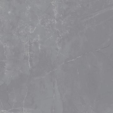 Pulpis Majestic Polished Grey Porcelain Tile 59X59 by Kale - view 4