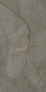 Royal Marbles Matte Silver River Dark Porcelain Tile 60x120 by Kale - view 4