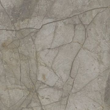 Royal Marbles Matte Silver River Dark Porcelain Tile 60x60 by Kale - view 4