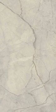 Royal Marbles Matte Silver River Light Porcelain Tile 60x120 by Kale - view 5