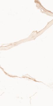 Royal Marbles Polished Calacatta Dolce Porcelain Tile 60x120 by Kale - view 4