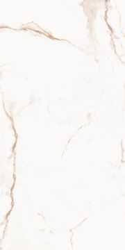 Royal Marbles Polished Calacatta Dolce Porcelain Tile 60x120 by Kale - view 7