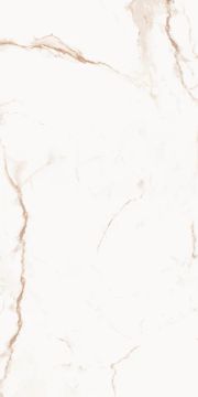 Royal Marbles Polished Calacatta Dolce Porcelain Tile 60x120 by Kale - view 8