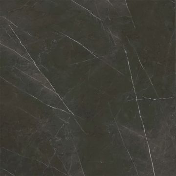 Sandra Polished Black Floor Tile 59x59 by Kale - view 3