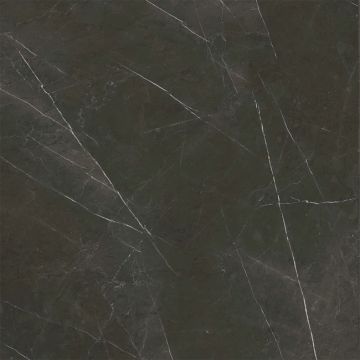 Sandra Polished Black Floor Tile 59x59 by Kale - view 4