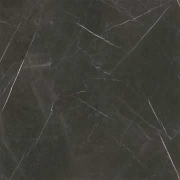 Sandra Polished Black Floor Tile 59x59 by Kale - view 6