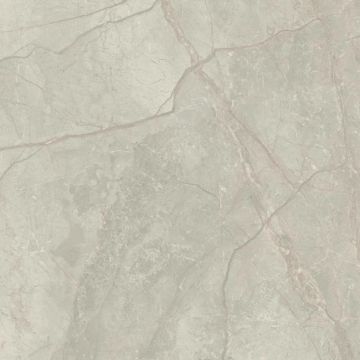 Silver River Polished Light Porcelain Tile 59X59 by Kale - view 4