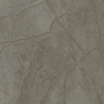 Silver River Semi Polished Dark Porcelain Tile 59x59 by Kale - view 3