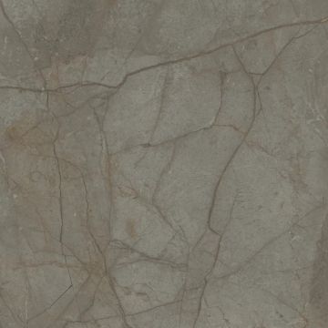 Silver River Semi Polished Dark Porcelain Tile 59x59 by Kale - view 8