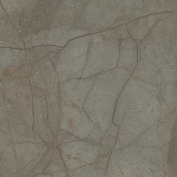 Silver River Semi Polished Dark Porcelain Tile 60X60 by Kale - view 8