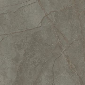 Silver River Semi Polished Dark Porcelain Tile 60X60 by Kale - view 4