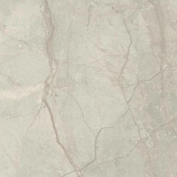 Silver River Semi Polished Light Porcelain Tile 59X59 by Kale - view 2