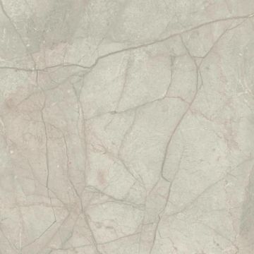 Silver River Semi Polished Light Porcelain Tile 59X59 by Kale - view 7