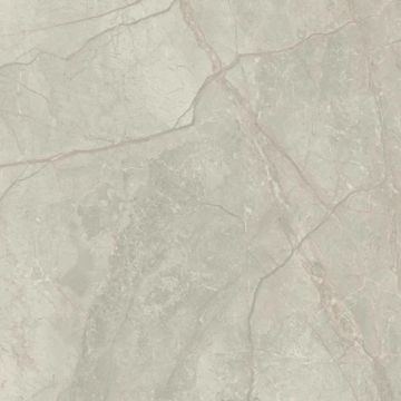 Silver River Semi Polished Light Porcelain Tile 59X59 by Kale - view 3