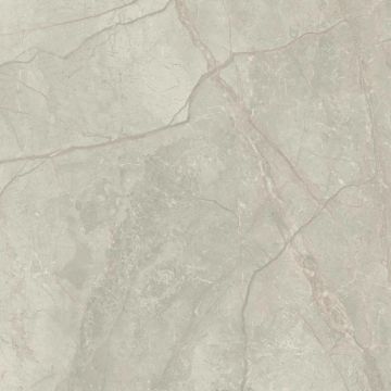 Silver River Semi Polished Light Porcelain Tile 59X59 by Kale - view 4