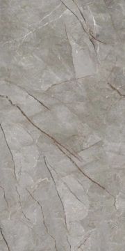 Silver Roots Matte Kalesinterflex Porcelain Slab 160x320 by Kale - view 5
