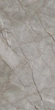 Silver Roots Matte Kalesinterflex Porcelain Slab 160x320 by Kale - view 4