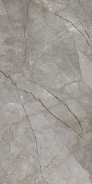 Silver Roots Matte Kalesinterflex Porcelain Slab 160x320 by Kale - view 2