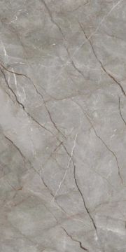 Silver Roots Matte Porcelain Slab 162x323 by Kale - view 3