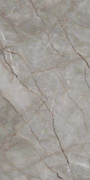 Silver Roots Polished Kalesinterflex Porcelain Slab 162x323 by Kale - view 4