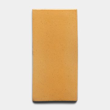 Dorado 4x8 Rectangle by Zia Tile - view 4