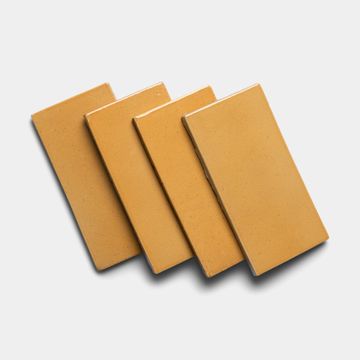 Dorado 4x8 Rectangle by Zia Tile - view 5