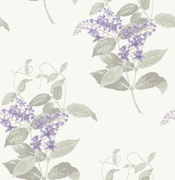 Madras Violet by Cole & Son - view 9