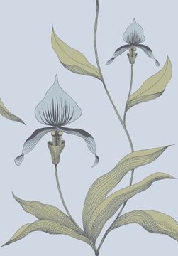 Orchid by Cole & Son - view 9