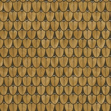 Narina - Baobab by Cole & Son - view 6