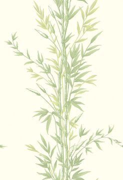 Bamboo by Cole & Son - view 9