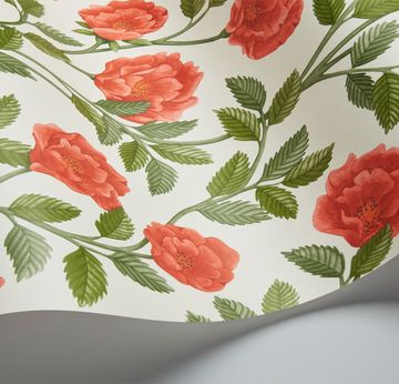 Hampton Roses by Cole & Son - view 8