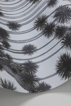 Japanese Woods by Cole & Son - view 8