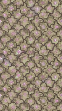 Vivienne Love Andreas by Cole & Son - view 8
