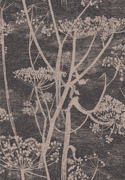 Cow Parsley by Cole & Son - view 9