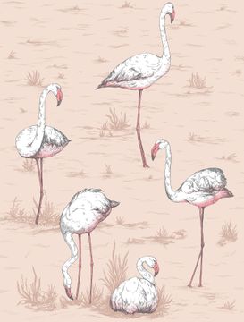 Flamingos Icons by Cole & Son - view 9