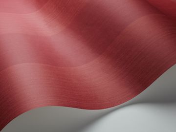 Jaspe Stripe by Cole & Son - view 8