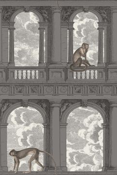 Procuratie con vista by Cole & Son - view 7